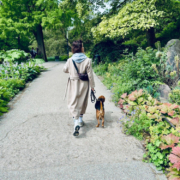 Hundetraining in der Großstadt