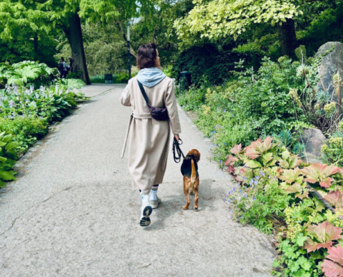 Hundetraining in der Großstadt