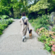 Hundetraining in der Großstadt