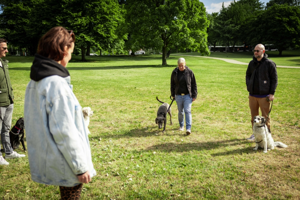 Gruppenkurs Freibeuter Hundetraining Hamburg