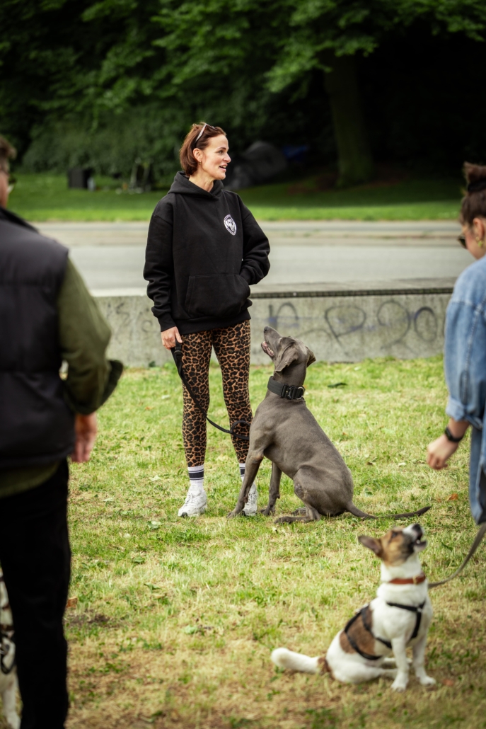 _K5A1525-min Gruppenkurs in Hamburg mit Freibeuter Hundetraining