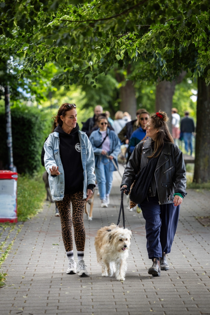 _K5A2245-min Social Walk St. Pauli Freibeuter Hundetraining
