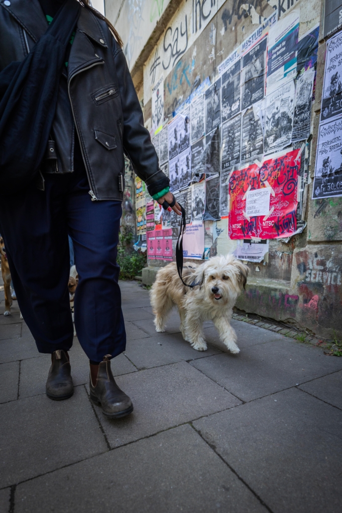 _K5A2338-min Freibeuter Hundetraining Hamburg
