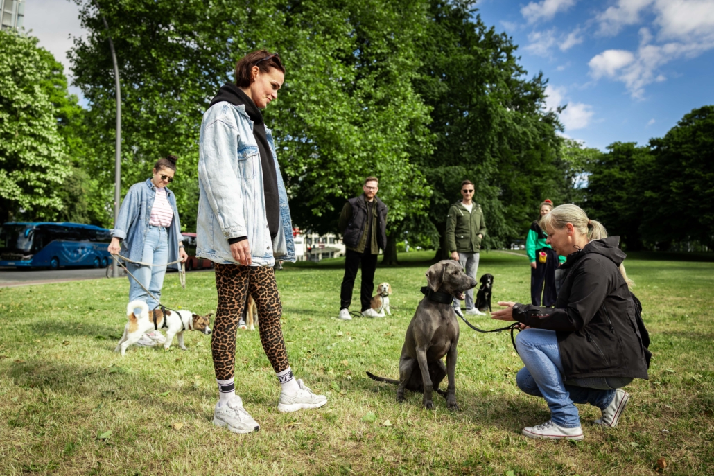 Gruppentraining mit Freibeuter Hundetraining
