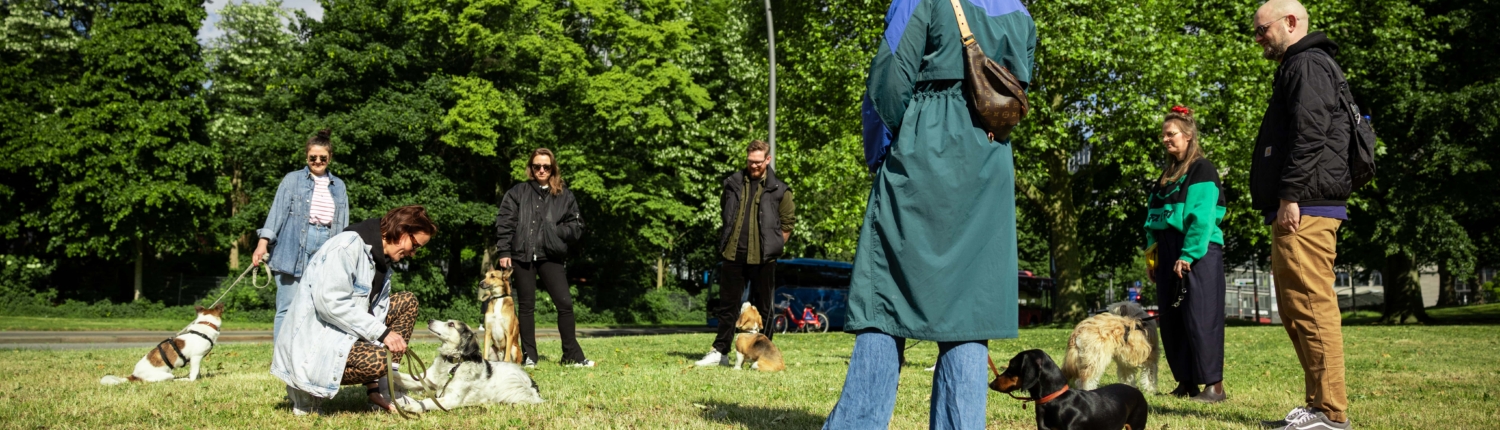 Gruppenkurs Freibeuter Hundetraining Hamburg