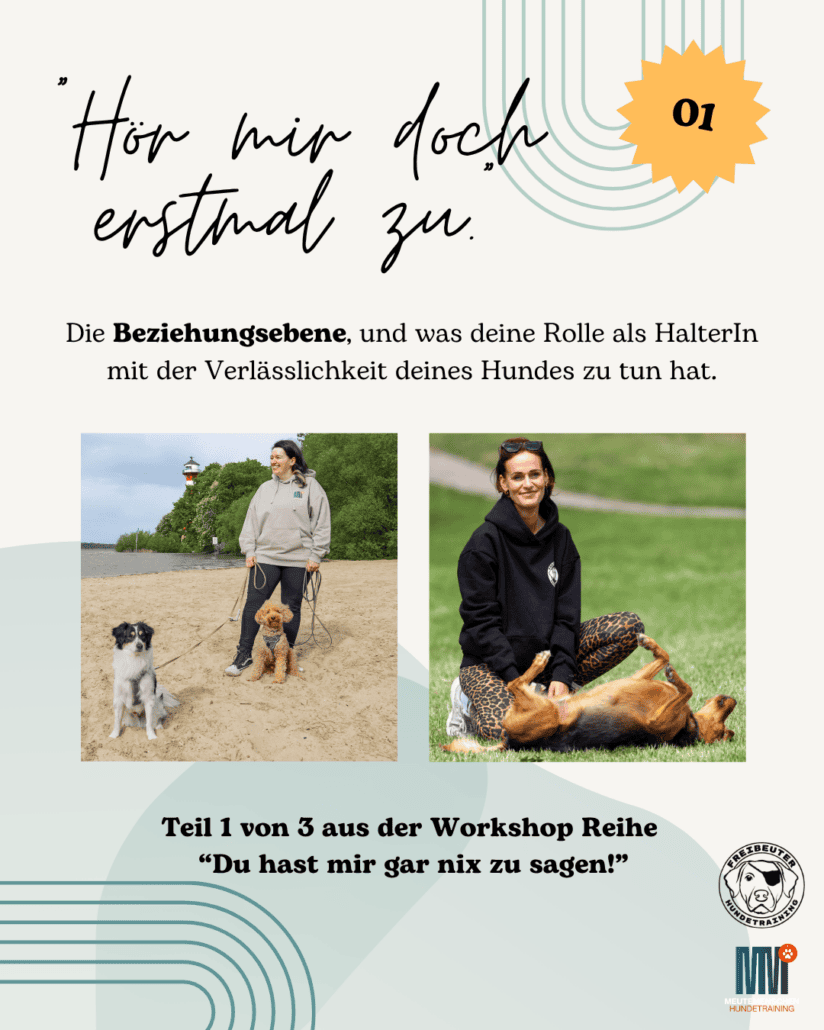 Fyler Workshop Leinenführigkeit Hundetraining Hamburg