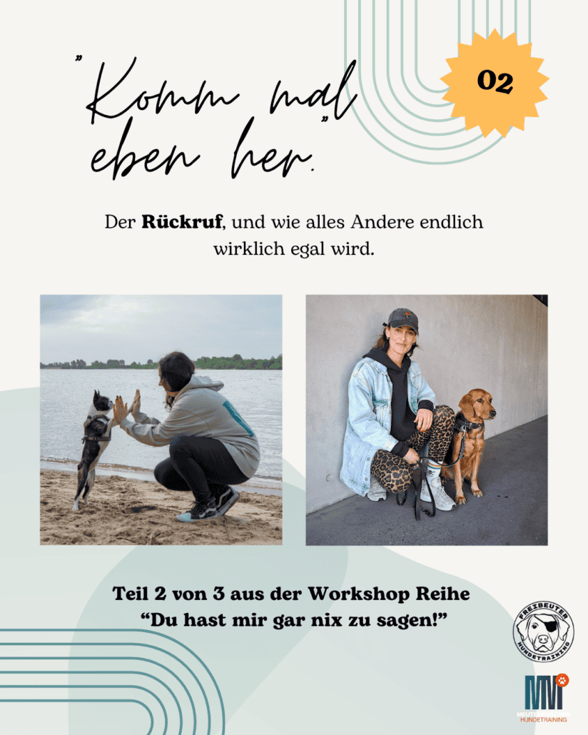 Fyler Workshop Leinenführigkeit Hundetraining Hamburg