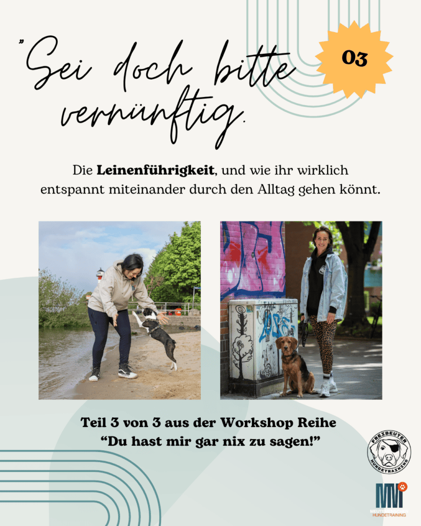 Fyler Workshop Leinenführigkeit Hundetraining Hamburg